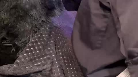 Jean pool online show from December 15, 2025, 11:47 am