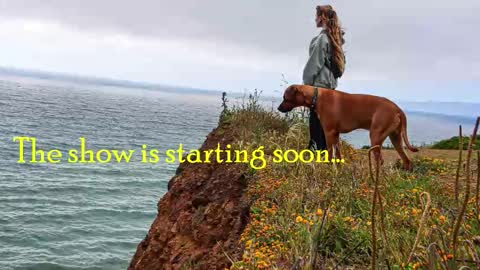 TATUM  ALL MY LINKS  online show from February 7, 2026, 12:25 am