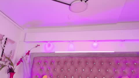 Sofia online show from November 25, 2025, 1:33 pm