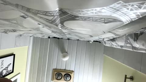 Twizzler online show from February 12, 2025, 12:33 pm