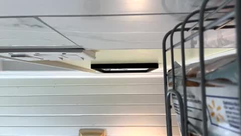 Twizzler online show from October 16, 2025, 1:39 am