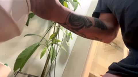 Snapshot of teet69 chatting on March 10, 2026, 10:15 pm teet69 online show from March 10, 2026, 10:15 pm