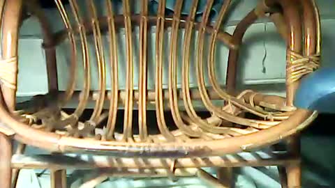 Snapshot of telecommandedu26 chatting on February 7, 2025, 11:23 am telecommandedu26 online show from February 7, 2025, 11:23 am