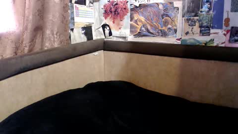 ruth online show from October 18, 2025, 2:07 pm