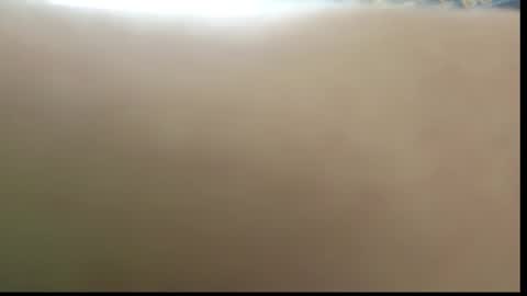 Ada  online show from February 11, 2026, 10:20 am