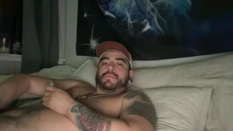 Snapshot of terppapi chatting on February 20, 2026, 11:32 am terppapi online show from February 20, 2026, 11:32 am