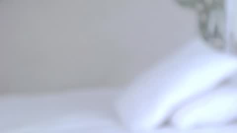 tessaquins online show from February 25, 2026, 7:12 pm