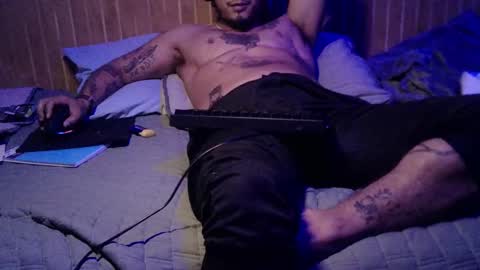 Milo online show from December 19, 2024, 4:34 am