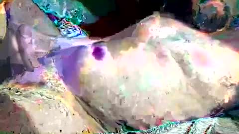 th3darksideofthemoon online show from February 26, 2025, 2:15 am