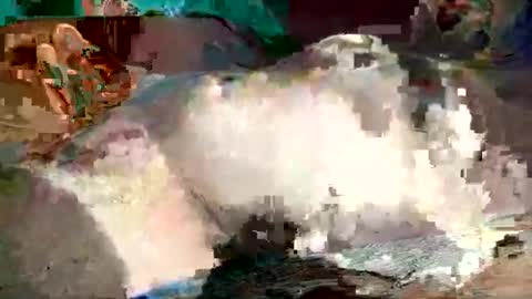 th3darksideofthemoon online show from March 8, 2025, 3:06 am