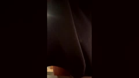 Snapshot of th3xgoat chatting on February 17, 2026, 7:20 pm Wildeman online show from February 17, 2026, 7:20 pm