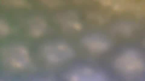 Snapshot of that_thing20 chatting on March 5, 2025, 7:06 pm that_thing20 online show from March 5, 2025, 7:06 pm