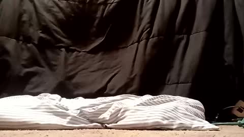 thatb1 online show from September 28, 2025, 5:13 am