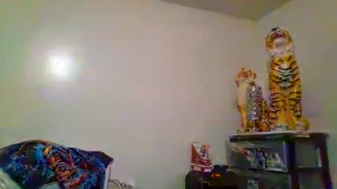 thatgirl4201 online show from November 15, 2025, 5:27 am