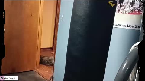 Snapshot of the_alpha_dog_xxx chatting on March 10, 2025, 6:23 pm the_alpha_dog_xxx online show from March 10, 2025, 6:23 pm