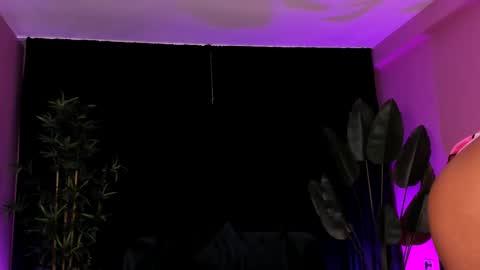 Aisha online show from January 13, 2026, 4:51 am