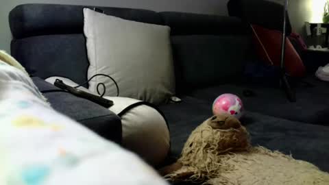 Stephan 34  Cassandra 25 online show from April 8, 2026, 9:04 pm