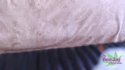 TheBeeJayShow online show from December 4, 2024, 5:05 am