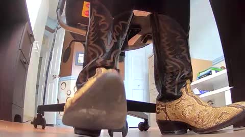 thecowboy_74 online show from November 19, 2025, 4:07 pm