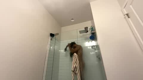 king capo thee online show from December 26, 2024, 10:52 pm