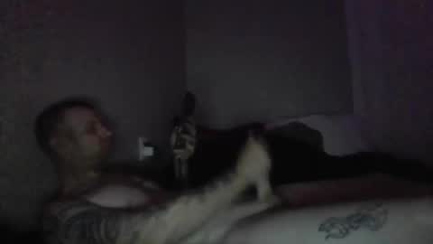 Snapshot of thehammer_cookie chatting on March 1, 2026, 1:46 pm thehammer_cookie online show from March 1, 2026, 1:46 pm