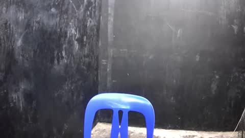 Xerxis online show from March 10, 2025, 2:37 pm