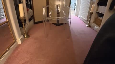 theladyduchess online show from February 7, 2026, 12:25 am