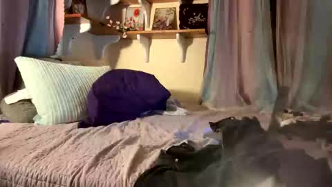 theonlyboi43ver online show from December 17, 2025, 11:44 pm