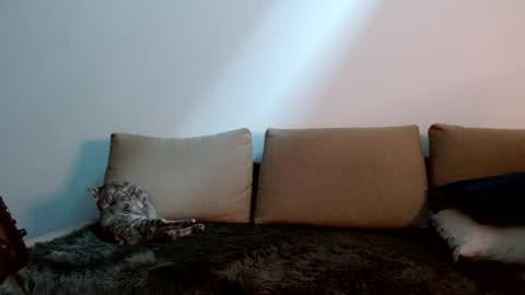 Snapshot of therealkingyoshi chatting on January 11, 2025, 9:25 pm Yoshi online show from January 11, 2025, 9:25 pm