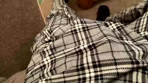 therealpietro77 online show from February 5, 2026, 8:57 pm