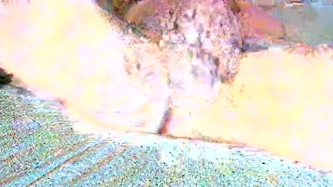 thetightestass14 online show from February 25, 2025, 10:47 am