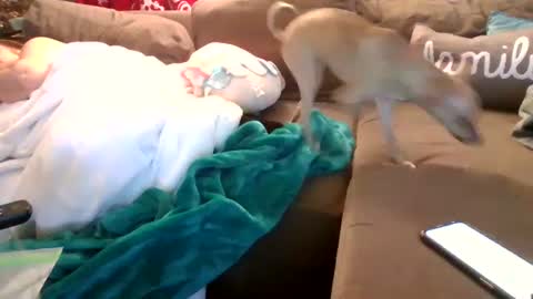 Snapshot of theycallmemellowthebreeze chatting on February 5, 2025, 3:55 am mellow online show from February 5, 2025, 3:55 am