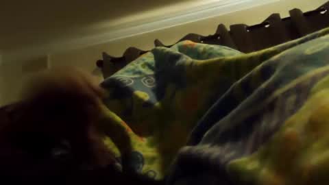 thisbloke96 online show from February 10, 2026, 4:38 am