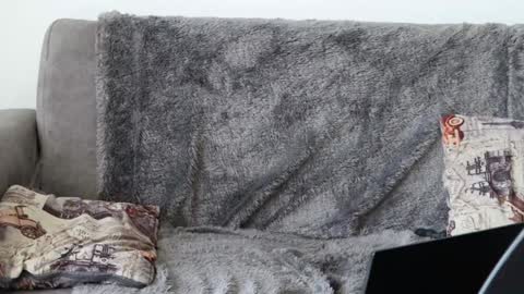 Sebastian online show from January 8, 2025, 5:26 pm