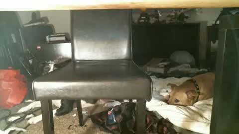 Thumper online show from October 27, 2025, 1:15 pm