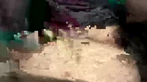 thunderbird2696 online show from April 12, 2026, 4:23 pm