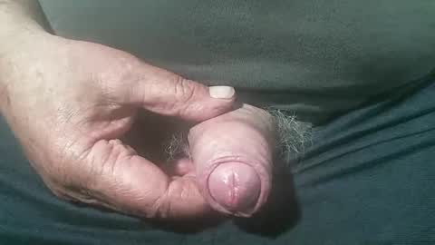 tiger1181 online show from September 13, 2025, 4:34 am