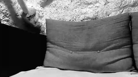 Snapshot of tigerbigcockkk chatting on October 7, 2025, 8:17 pm tigerbigcockkk online show from October 7, 2025, 8:17 pm