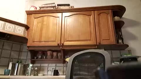 Snapshot of tigermatt76e chatting on March 1, 2026, 6:32 pm tigermatt76e online show from March 1, 2026, 6:32 pm