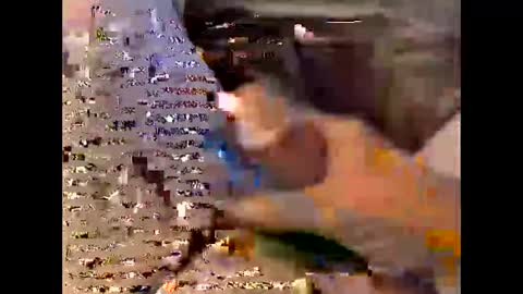 Snapshot of timberlandes1 chatting on May 27, 2026, 9:12 pm timberlandes1 online show from May 27, 2026, 9:12 pm