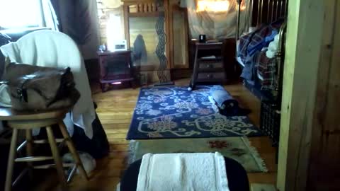 Snapshot of timcassforyou chatting on June 1, 2026, 10:55 pm timcassforyou online show from June 1, 2026, 10:55 pm