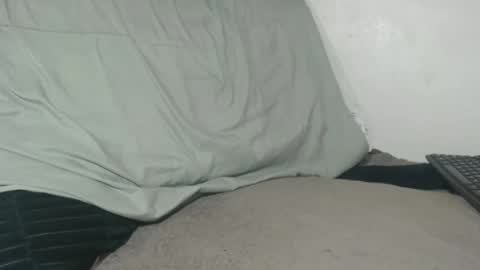 Tina online show from April 14, 2026, 2:50 am