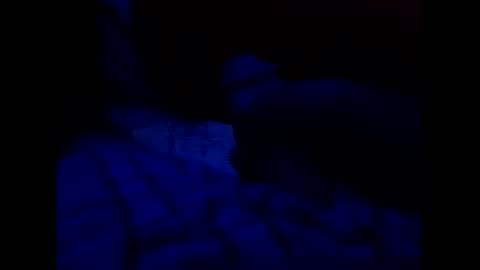 Snapshot of tixzle chatting on March 31, 2026, 7:36 pm tixzle online show from March 31, 2026, 7:36 pm