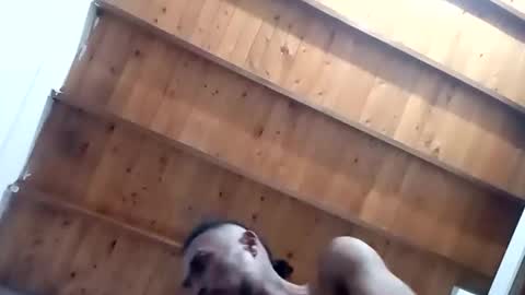 Snapshot of tnptlhvgyqcy chatting on November 1, 2025, 5:20 am DESTROY.S online show from November 1, 2025, 5:20 am