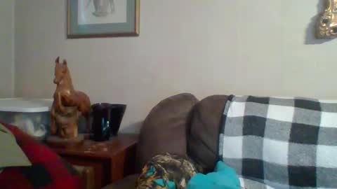 Vols online show from October 29, 2025, 9:49 pm