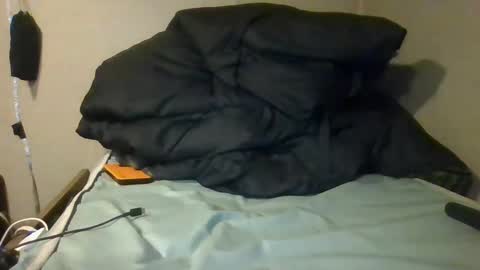 Dickinsince93 online show from January 4, 2025, 3:50 am