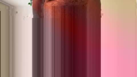 toddmacg online show from November 23, 2025, 5:35 pm