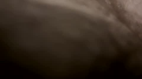 toesturnmeon online show from October 11, 2025, 7:29 am