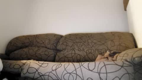 Snapshot of toffbuck chatting on February 9, 2026, 4:49 am ToffBuck online show from February 9, 2026, 4:49 am