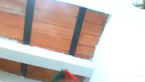 Blue online show from March 3, 2025, 9:26 pm